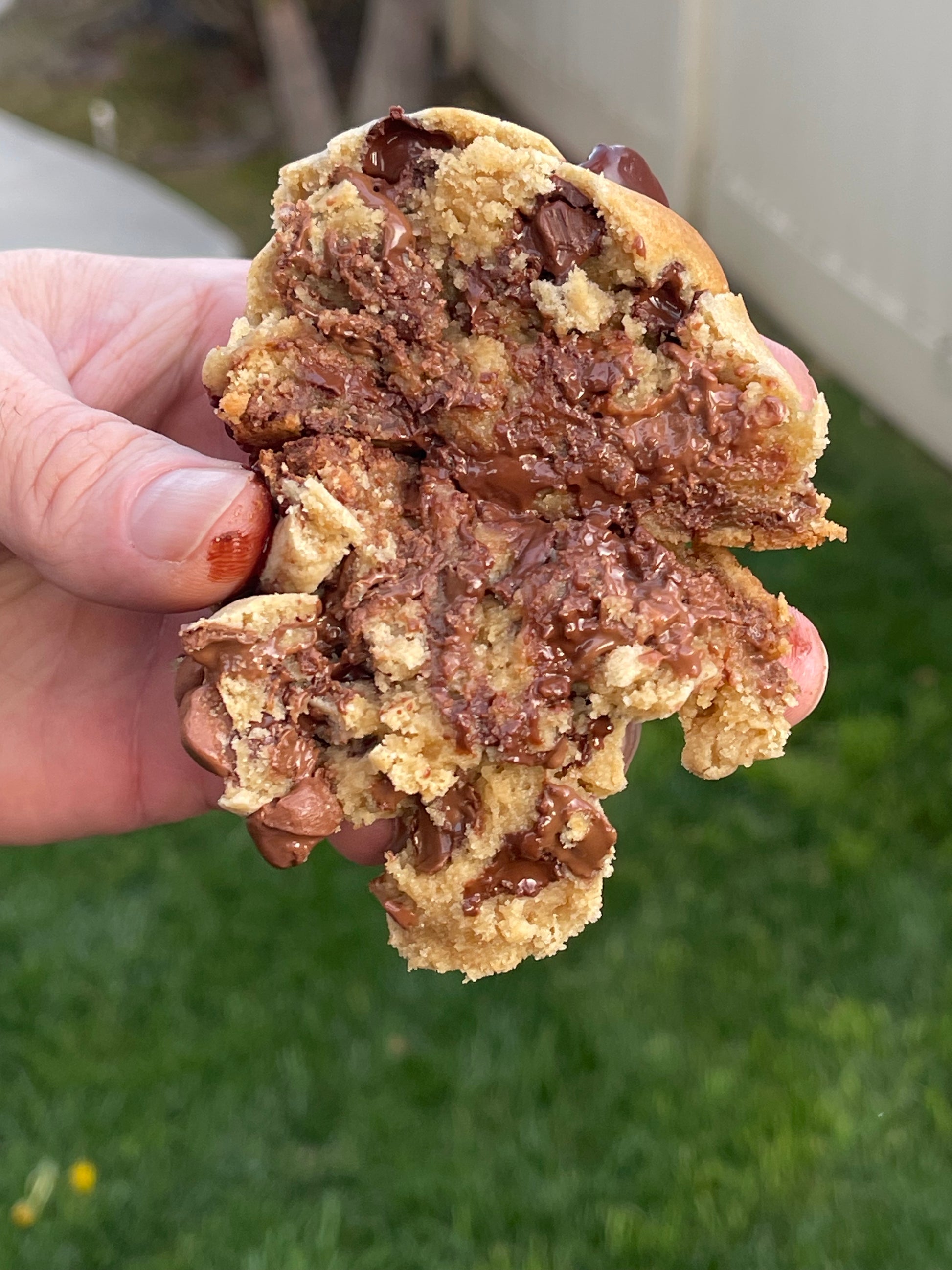 Addie's Chunks Chunk Norris – Chunk-A-Dunk